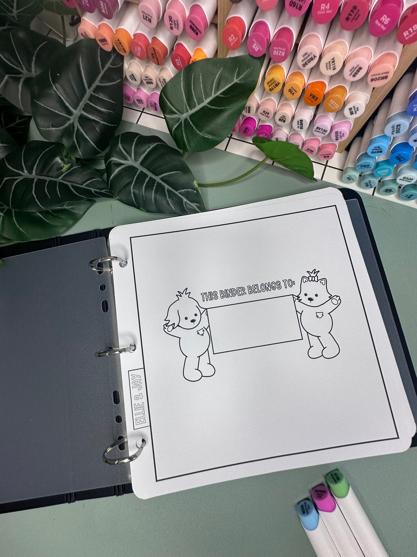 Colouring Binder Bundle